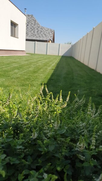 Balotesti, Saftica, Therme, vila noua 2020.